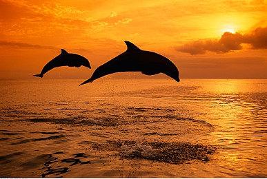 《艾尔登法环：黑夜君临》现专注平衡调整  承诺补全双人模式