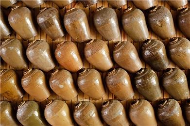 F5游戏发布会：国产沙盒动作RPG《最后的鸡堡》